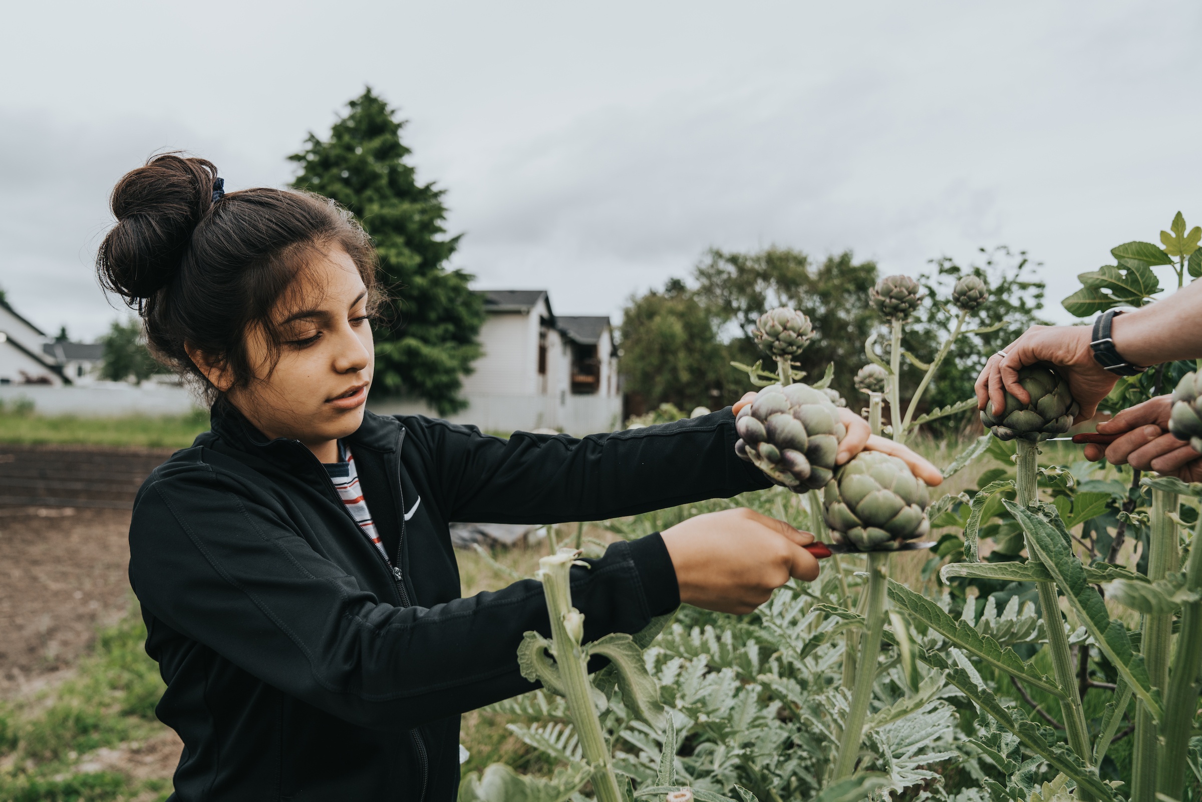 Youth Farm Growing Food For Emergency Food Banks Meal Sites