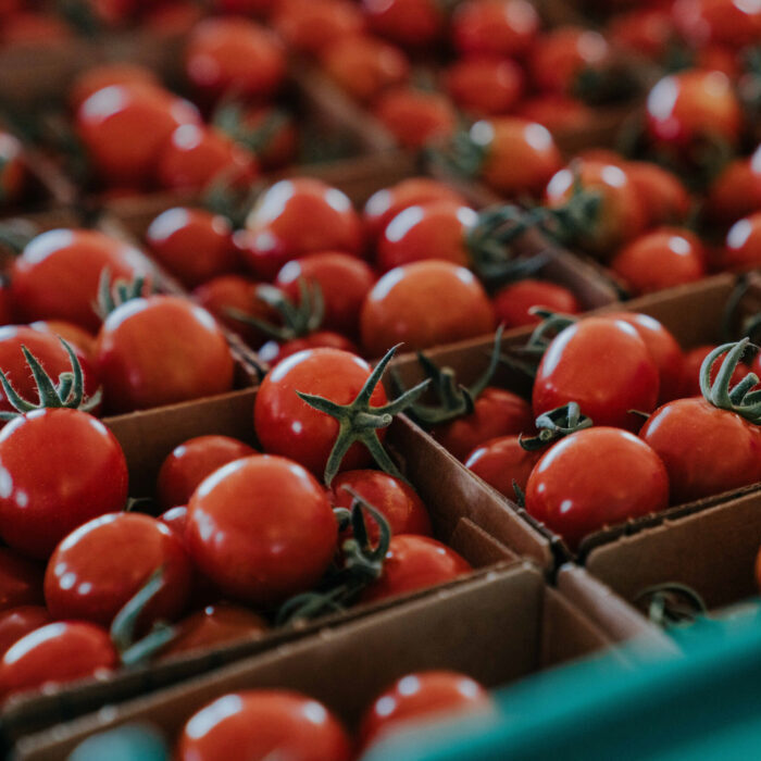 Give Food to Marion Polk Food Share