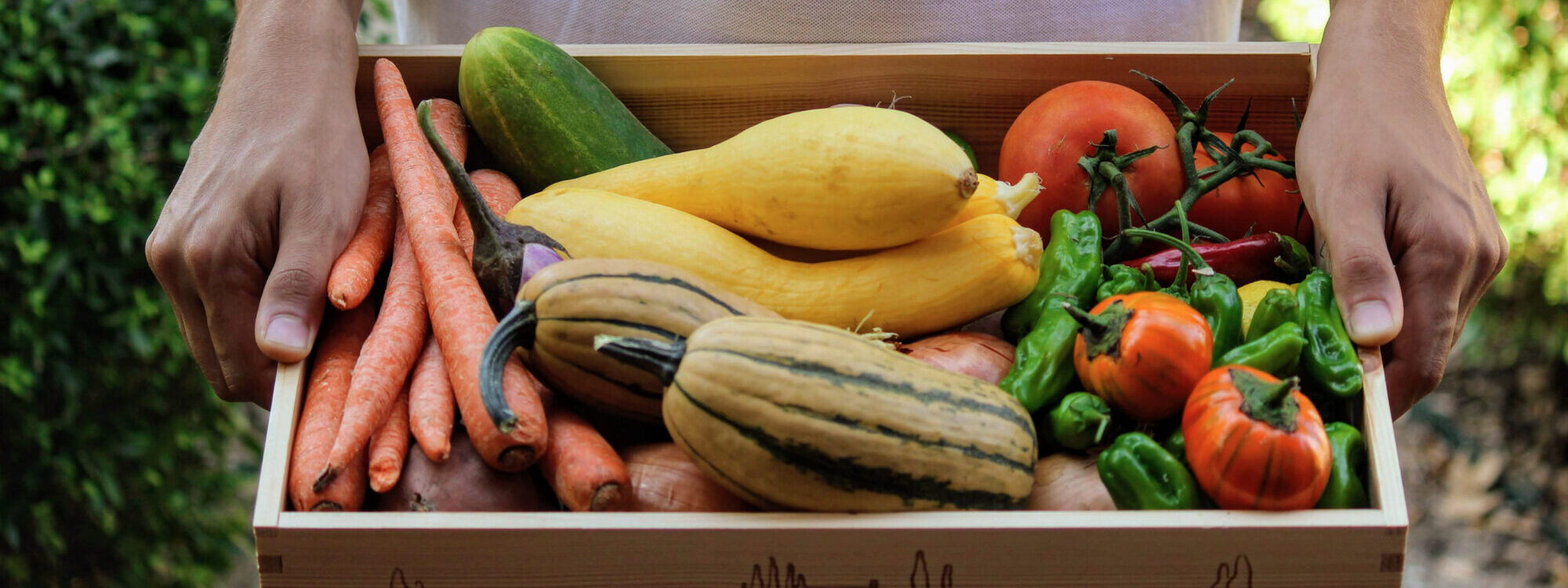 Harvest Box: Marion Polk Food Share