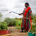 Mahora, a refugee from Uganda who now lives in Salem, tends plants in a community garden at Marion Polk Food Share's Youth Farm.
