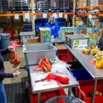 From left, volunteers Lisa, Diana and Laurie sort perishable donations in the Food Share's retail recovery area.