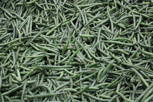 Green Beans Pile