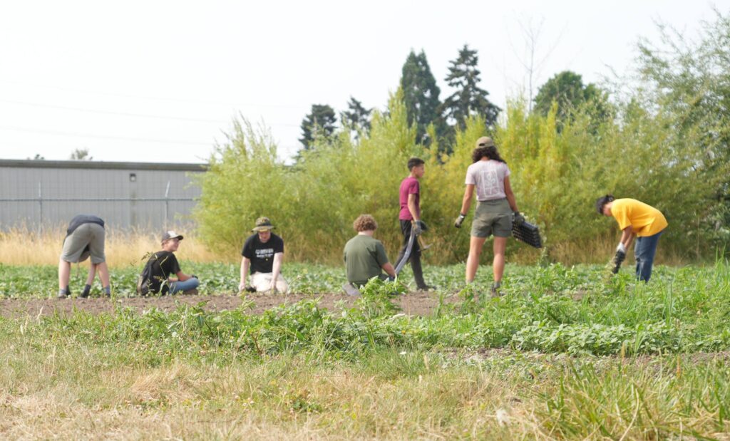 Youth Farm Kitty Crew Leader